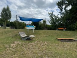Mainschwimmen Juni 2026